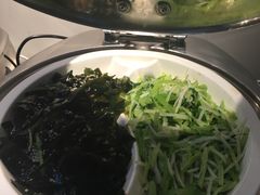 -虹桥机场国航贵宾室v8