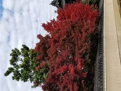 -清凉寺