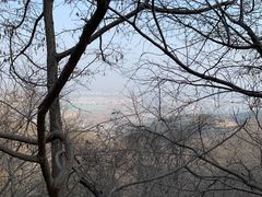 -北京西山国家森林公园