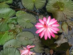 -白沙门生态公园