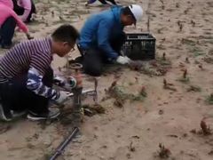 -鄂尔多斯野生动物园