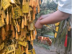 -黄帝陵