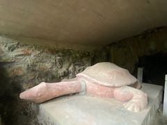 -上海佘山国家森林公园天马山园