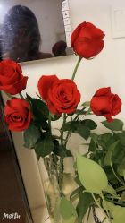 -倾城妃姿美疗中心