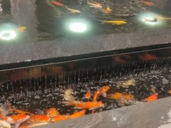 -弘安丽水温泉酒店