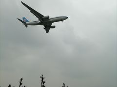 -空港花田景区