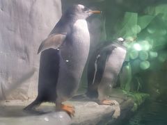 -南昌海洋公园