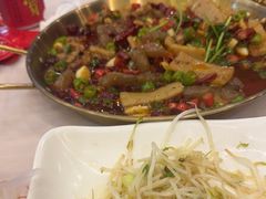 -叒缘夜光杯(望江橡树林店)