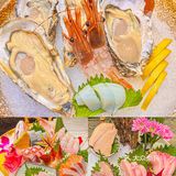 佛山平价寿司店‼️日料爱好者给我冲🔥