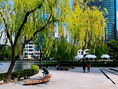 -陆家嘴中心绿地