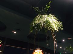 -星叶·东南亚料理(宁波万象汇店)