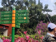 -野象谷景区