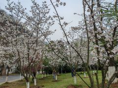 -幕燕滨江·长江观音景区