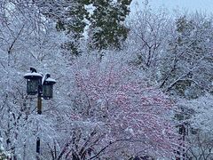 -杭州城北体育公园