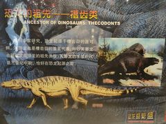 -国家自然博物馆