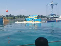 -秦皇岛乐岛海洋王国