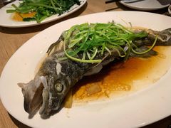 清蒸鱼-渝人码头 川菜店 Chungking Szechuan Cuisine