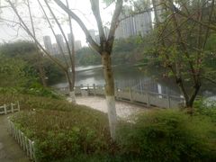 -重庆彩云湖湿地公园