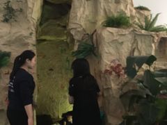 -UCCA Kids 儿童美育