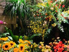 -春暖花开(西溪店)