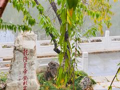 -桃花堤公园