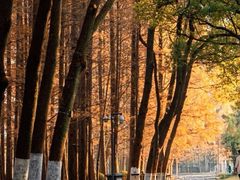 -采石矶景区