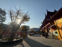 -会龙寺