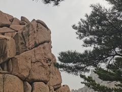 -崂山仰口游览区
