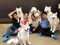 -TrueLove @ Neverland (Husky Cafe)