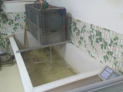 -清真长山屯泉水灶台鱼(佳庆道店)