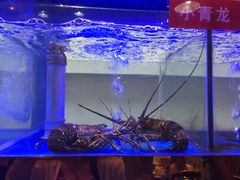 -小龍鳳·港式海鲜打边炉(沙湖路店)