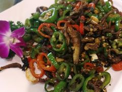 -绿雅居原生态农庄(小涌店)