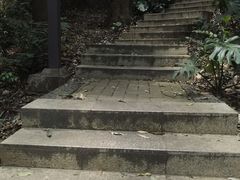-南岗山公园