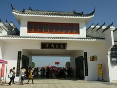 -金卉庄园