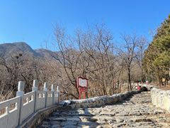 -阳台山自然风景区