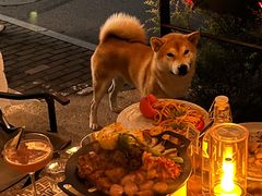 -鹿萤季·营地小馆(皇后公园店)