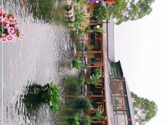-大门水乡·顺德菜