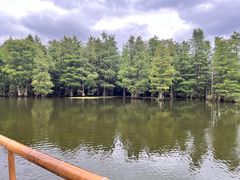 -尚湖风景区