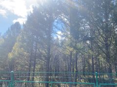 -塞罕坝国家级自然保护区