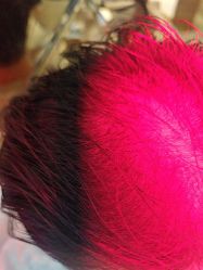 -碧莲盛·不剃发植发