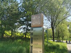 -翠湖国家城市湿地公园