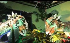 -恐龙探索乐园(磁器口店)