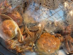 -半岛听涛蒸汽海鲜自助(K11店)