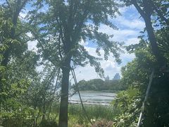 -金鸡湖桃花岛