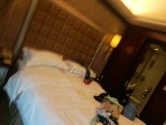 -沈阳皇朝万鑫酒店