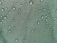 -春花秋色城市公园