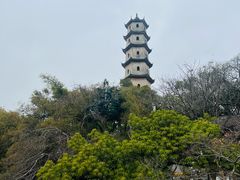 -江心屿景区