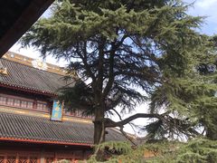 -灵岩山风景区