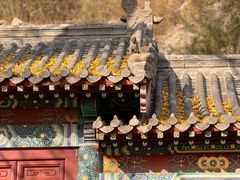 -竹子庵公园