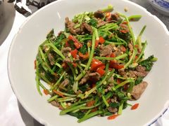 香菜炒牛肉-壹盏灯(惠农店)